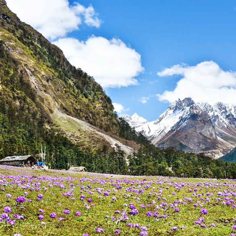 Lachung